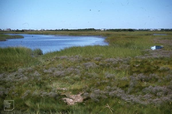 Point Judith