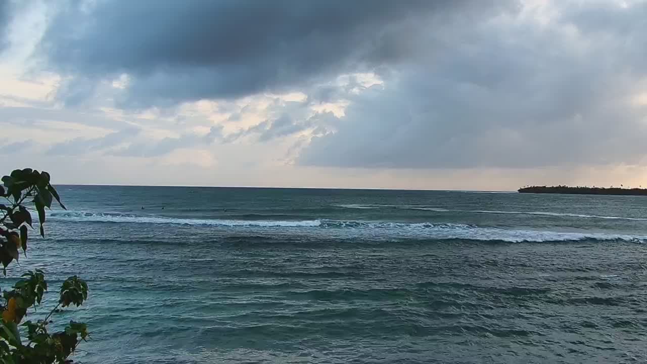 Inches live camera