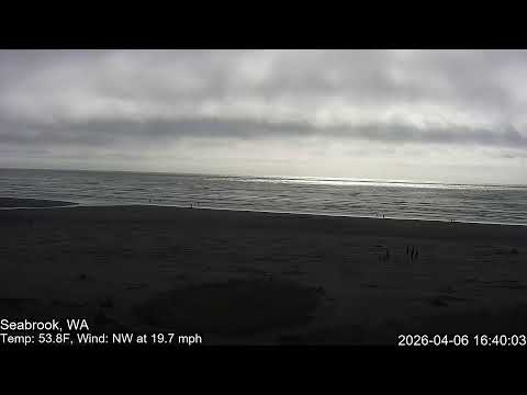 Seabrook (Pacific Beach area) live camera