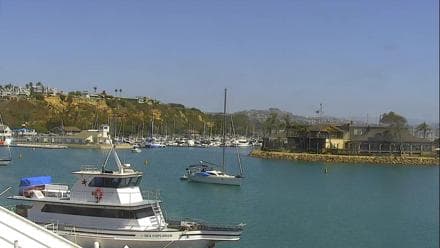 Doheny Beach live camera
