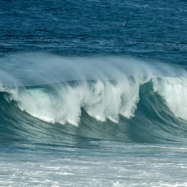 Offshore vs Onshore Wind: Best Wind for Surfing