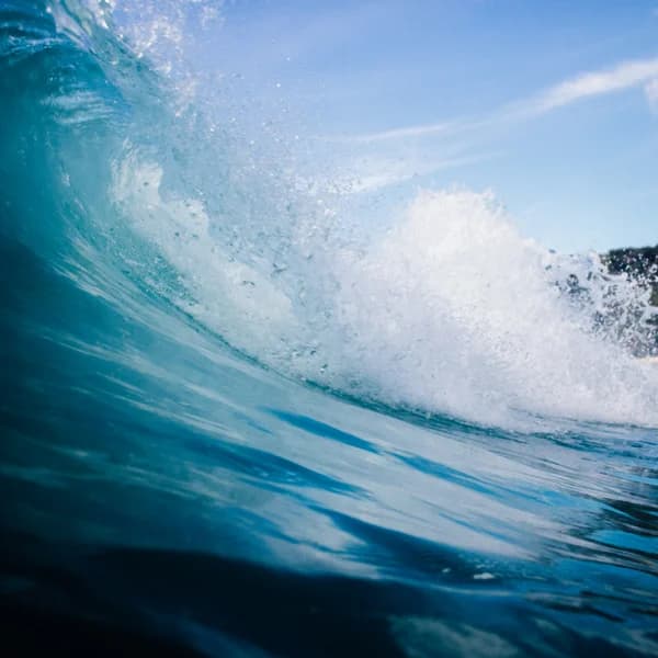 Well-organized ground swell hitting a reef break