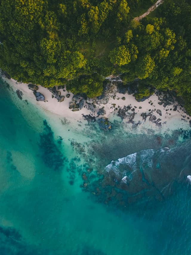 What Is a Rip Current and How Do I Escape One?