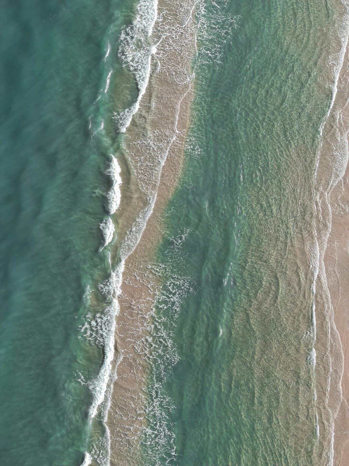 Aerial view of organized swell lines approaching shore