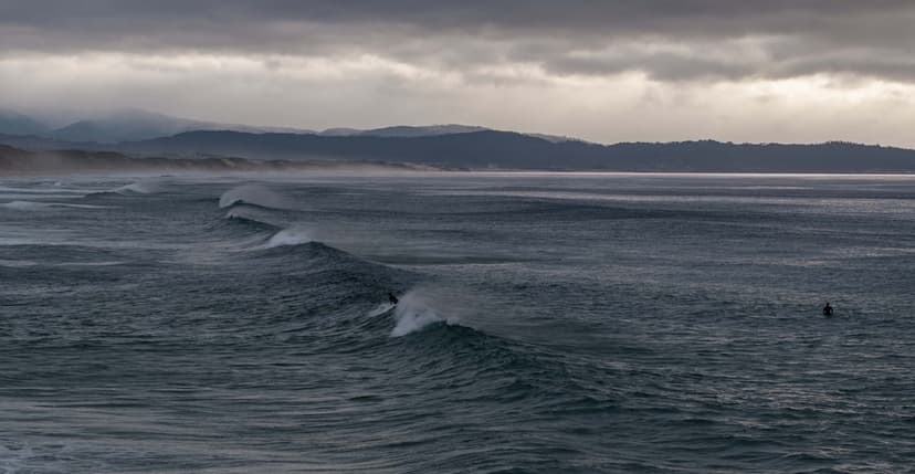 Surfer in misty conditions — forecast models predict what you'll find