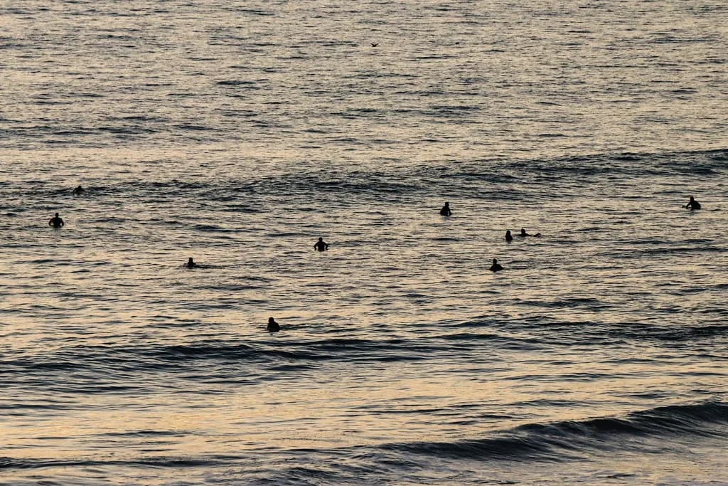A crowd of surfers sitting in the lineup at South Carlsbad State Beach in soft late-day light