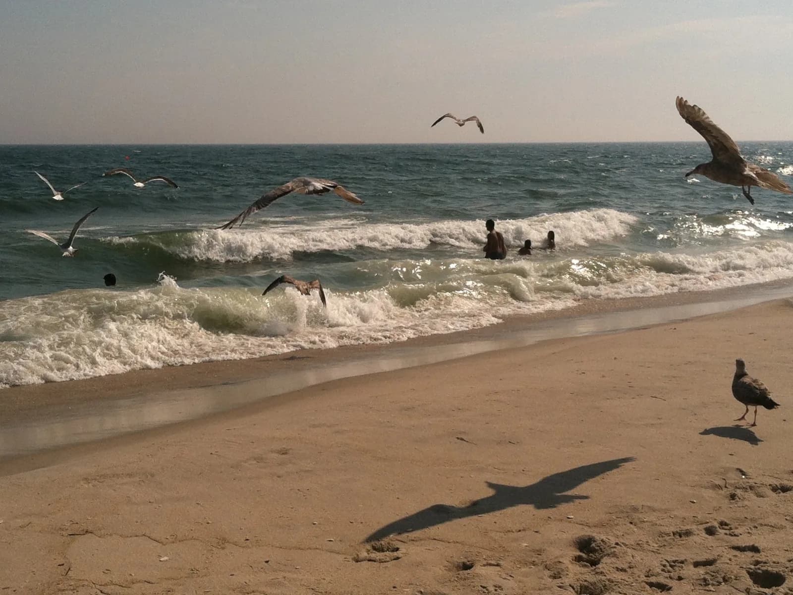 Robert Moses State Park shoreline and broad Long Island surf context