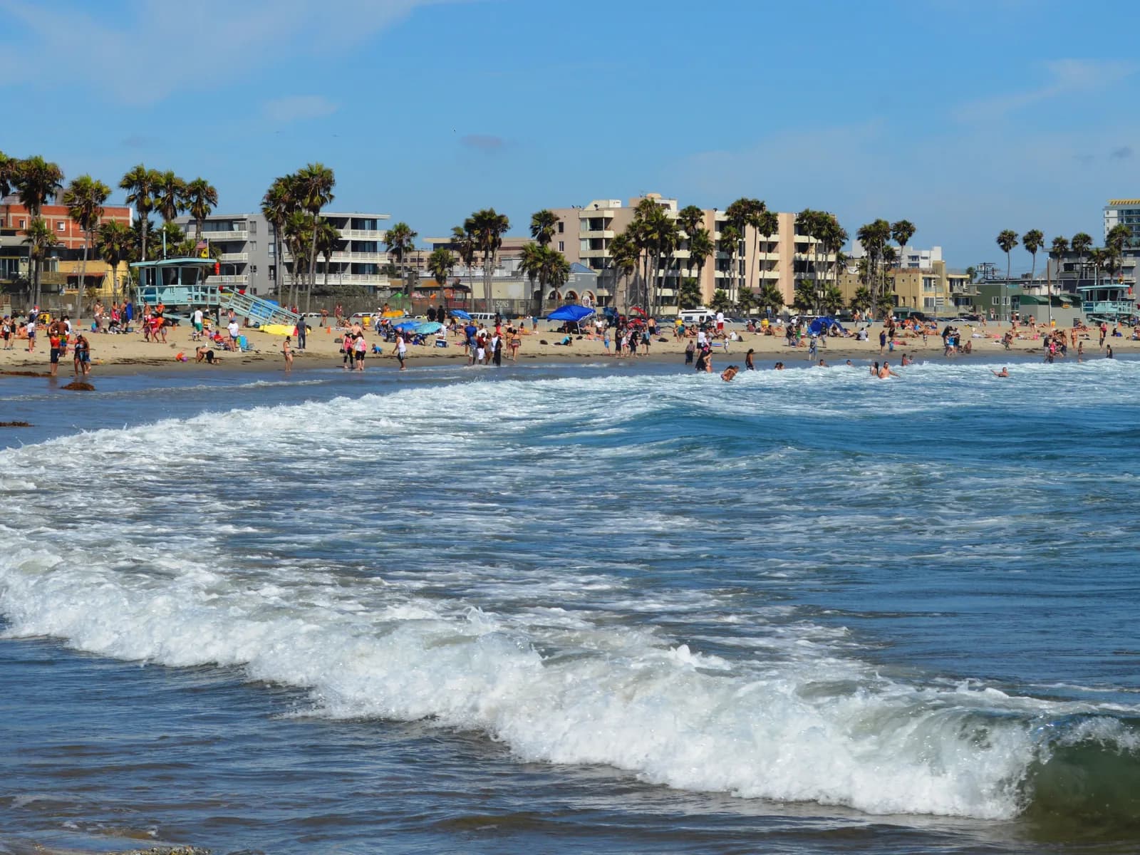 Venice Beach and the Southern California coastline