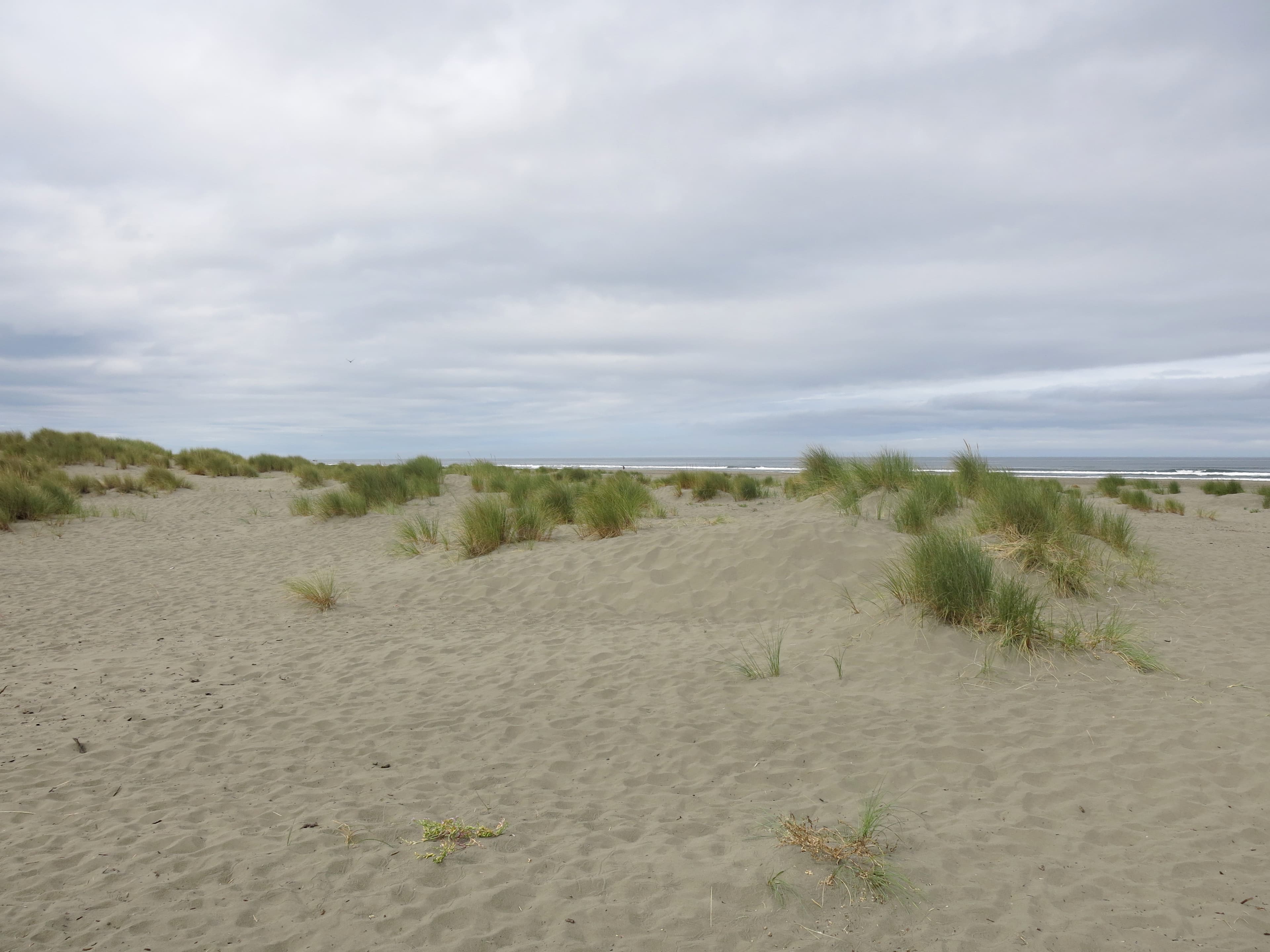 Clam Beach