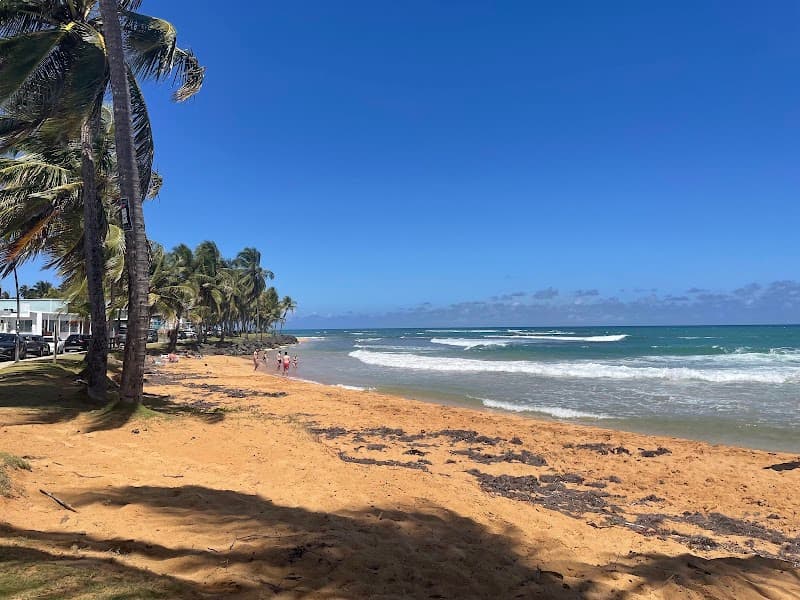 Luquillo beginner surf conditions