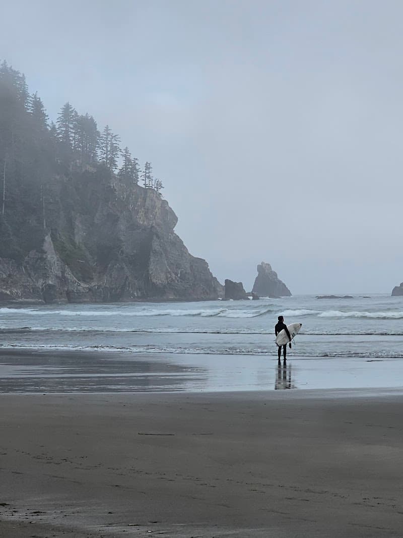 Manzanita beginner surf conditions