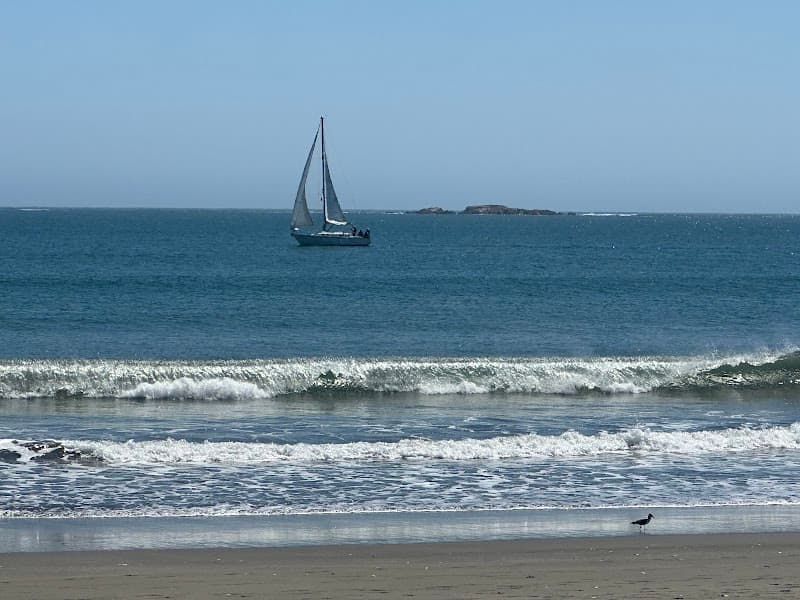 Bodega Bay / Doran Beach surf break