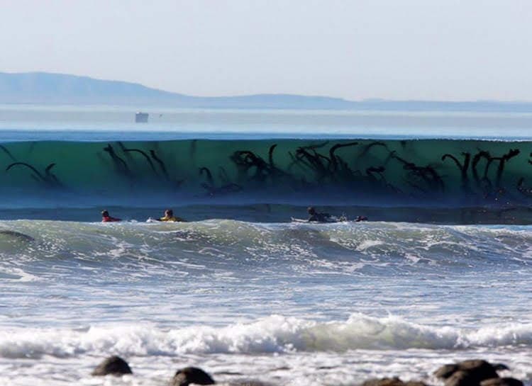 Rincon surf break